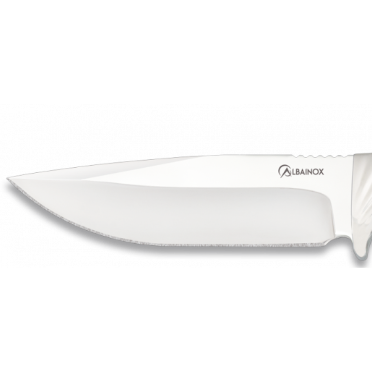 Cuchillo de Caza Olivo – Hoja 12 cm – Profesional