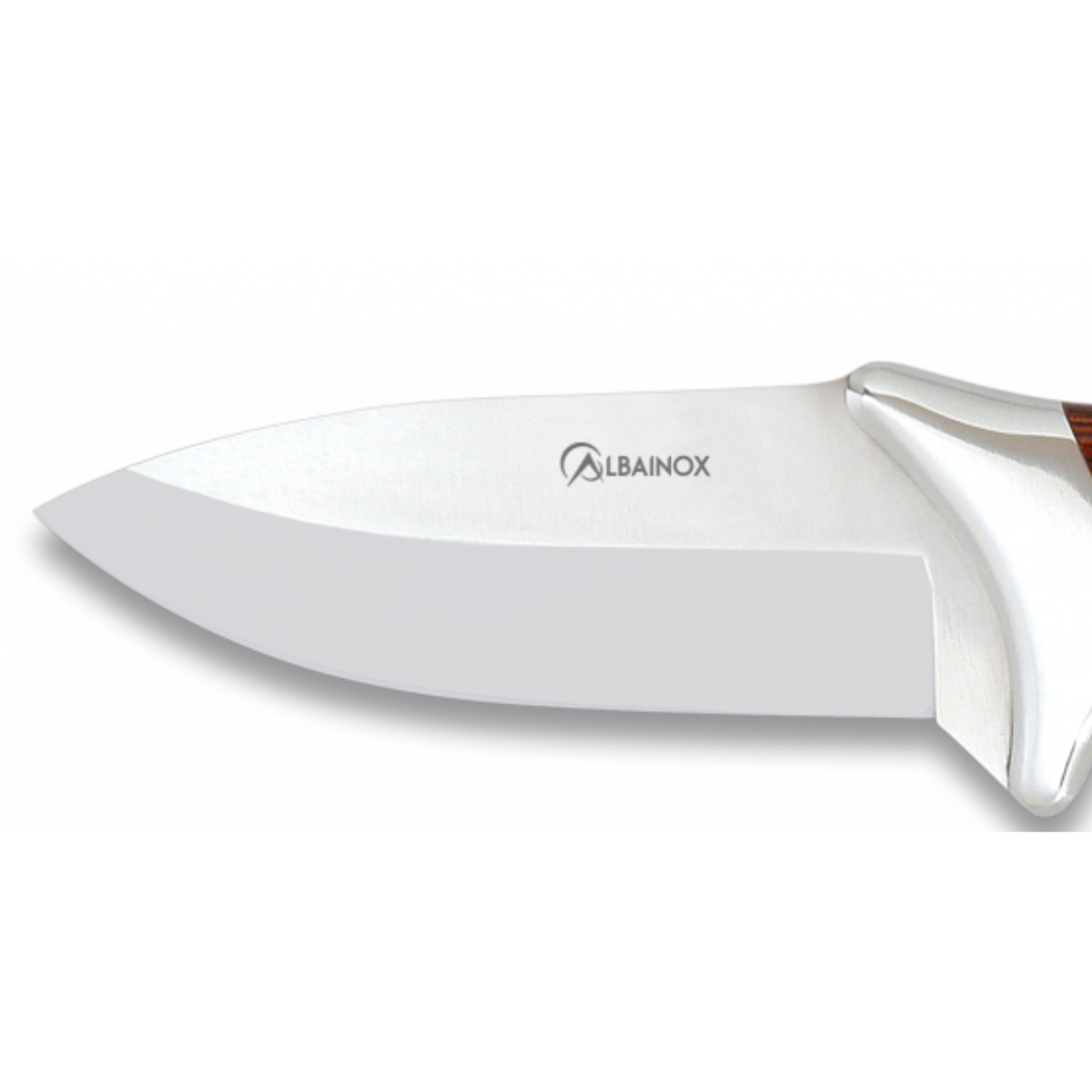 Cuchillo de Caza Stamina – Hoja 10,5 cm – Profesional
