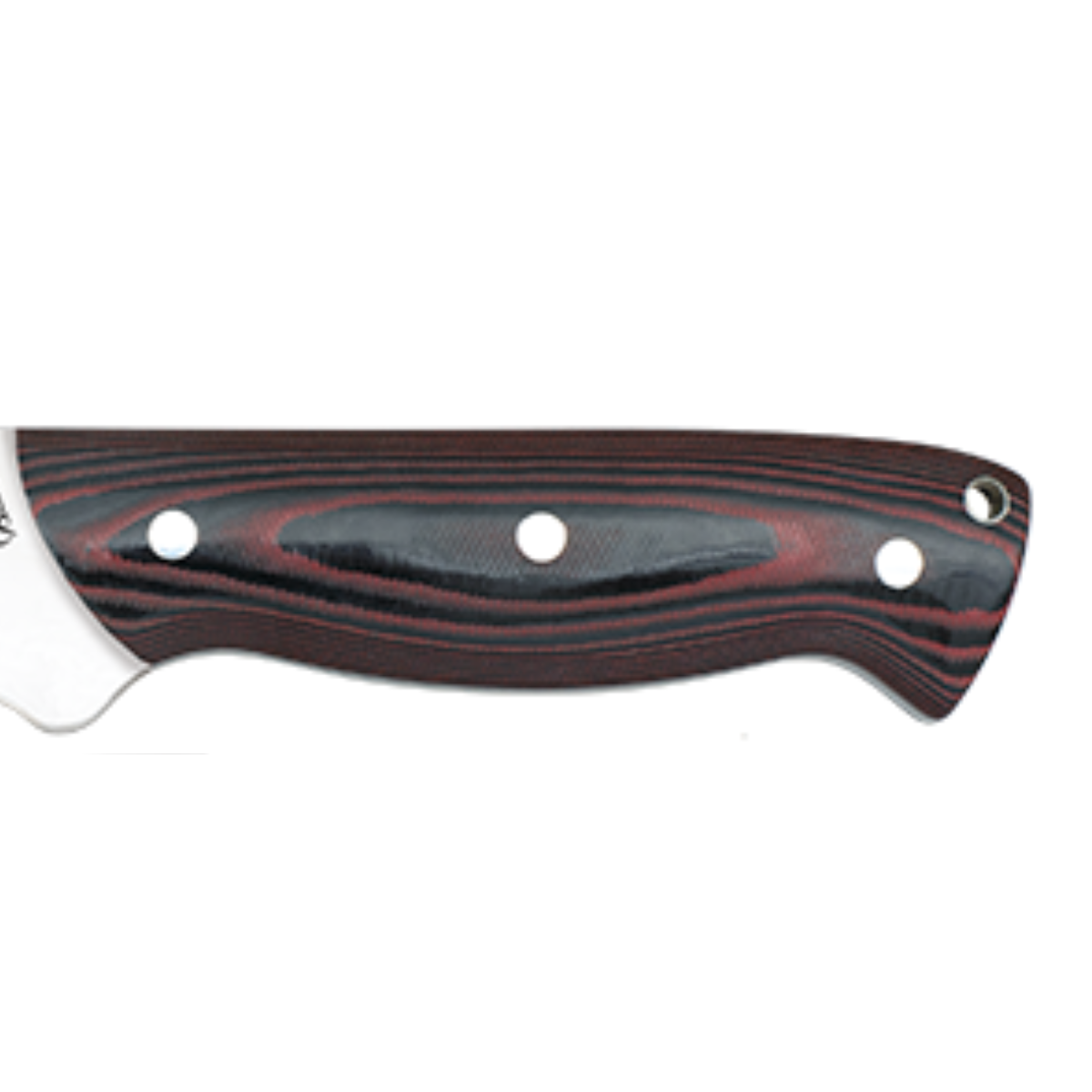 Cuchillo de Caza Stamina – Hoja 12,5 cm – Profesional